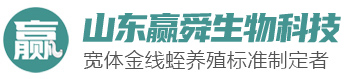 九五至尊VI