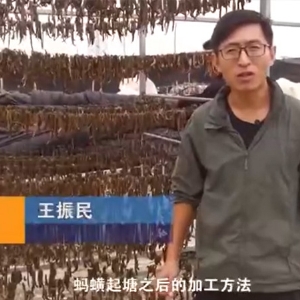 九五至尊VI加工方法